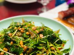 -九號渔港·蒸汽海鲜·粤菜茶点(八卦岭店)