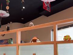 -禾绿回转寿司(万柳华联店)