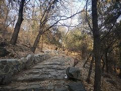 -阳台山自然风景区