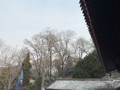 -华清宫景区
