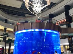 -OPEN開全日自助餐厅·西餐·海鲜(佛山希尔顿酒店)