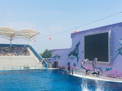 -北戴河圣蓝海洋公园