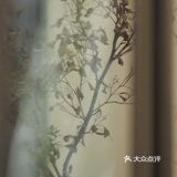 有个性的小老板