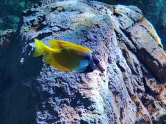 -太平洋海底世界