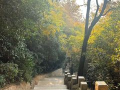 -狼山风景名胜区