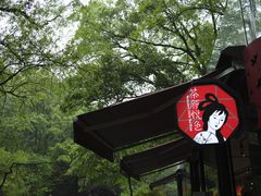 -茶颜悦色(岳麓山顶店)