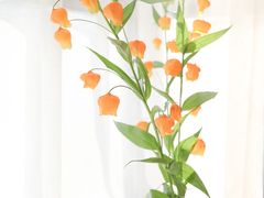 -双季花艺园艺市场(浦东店)