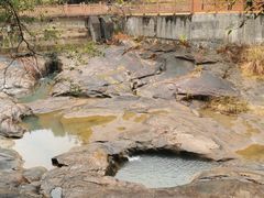 -广州白江湖森林公园