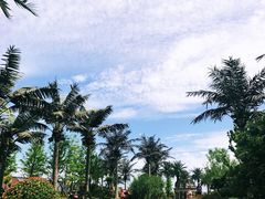 -启东恒大海上威尼斯酒店