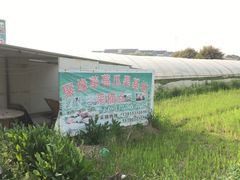 -聚缘草莓瓜果采摘基地(堵家村2店)