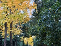 -唐城墙遗址公园