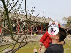 -碑林公园