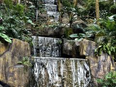 -广州市流溪河国家森林公园