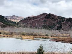 -塞罕坝国家级自然保护区