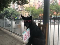 -糯米团油茶早餐铺