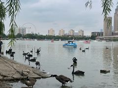-天津水上公园