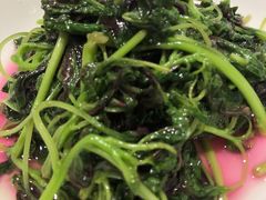 炒大豆苗-老吉士(环贸iapm店)