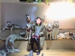 -Husky Go! 哈士奇体验馆·宠物咖啡厅狗咖