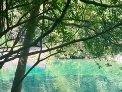 -石台牯牛降景区