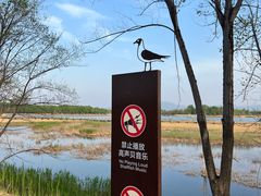 -野鸭湖国家湿地公园