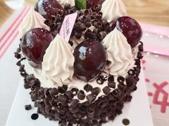 -大麦嘉动物奶油生日蛋糕(军分区新建北路店)