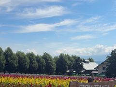 -富田农场