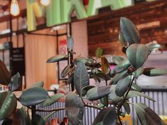 -MIKAKU(万达广场上海宝山店)