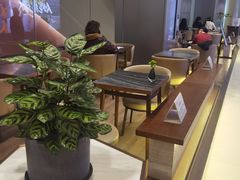 -THE WOODS 简餐 (国贸商城店)
