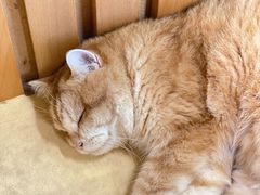 -天井·丑面包搭咖啡
