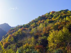 -秦岭风景区