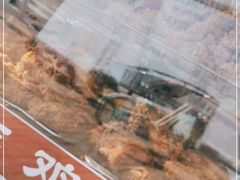 -德盛炸鸡腿(大沽南路店)