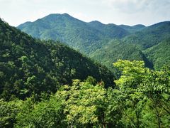 -四明山国家森林公园