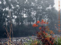 -祁门牯牛降观音堂风景区