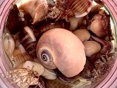 -银滩滨海旅游度假区