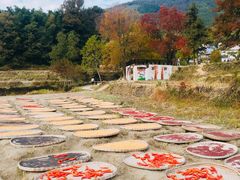 -塔川景区