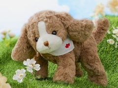 -七彩云南第壹城