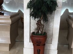 -兴芮温泉度假区