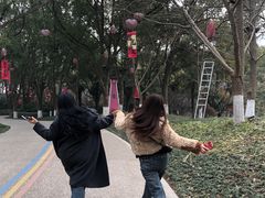 -天目湖山水园