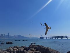 -黑石礁公园