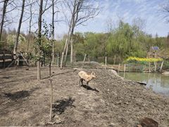 游乐设施-溱湖国家湿地公园