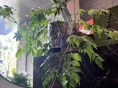 -王府茶楼茶宴·创意菜(朝阳公园店)