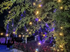 -武汉紫薇都市田园