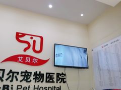 -艾贝尔宠物医院 ·内科全科(梁溪路店)