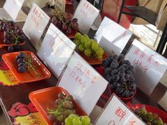 -马陆小张葡萄园农家乐