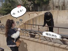 -东方熊牧场