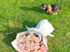 -吉利龙虾·新派海鲜烧烤