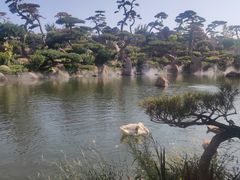 -罗红摄影艺术馆