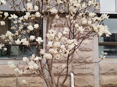-内蒙古工业大学(新城校区)