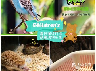 夏日遛娃打卡萌巢动物乐园