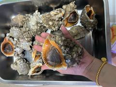 -鲜鲜·鲅鱼圈海鲜(于洪店)